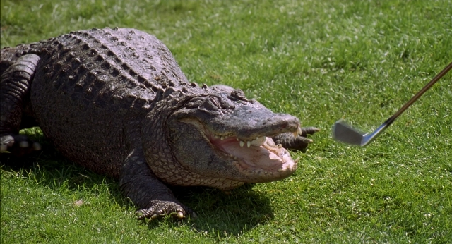 Wide shot frame from Happy Gilmore — crocodile