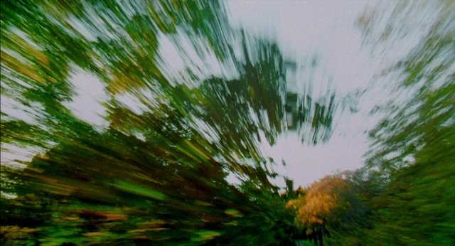 Wide shot frame from Happy Gilmore — palm tree