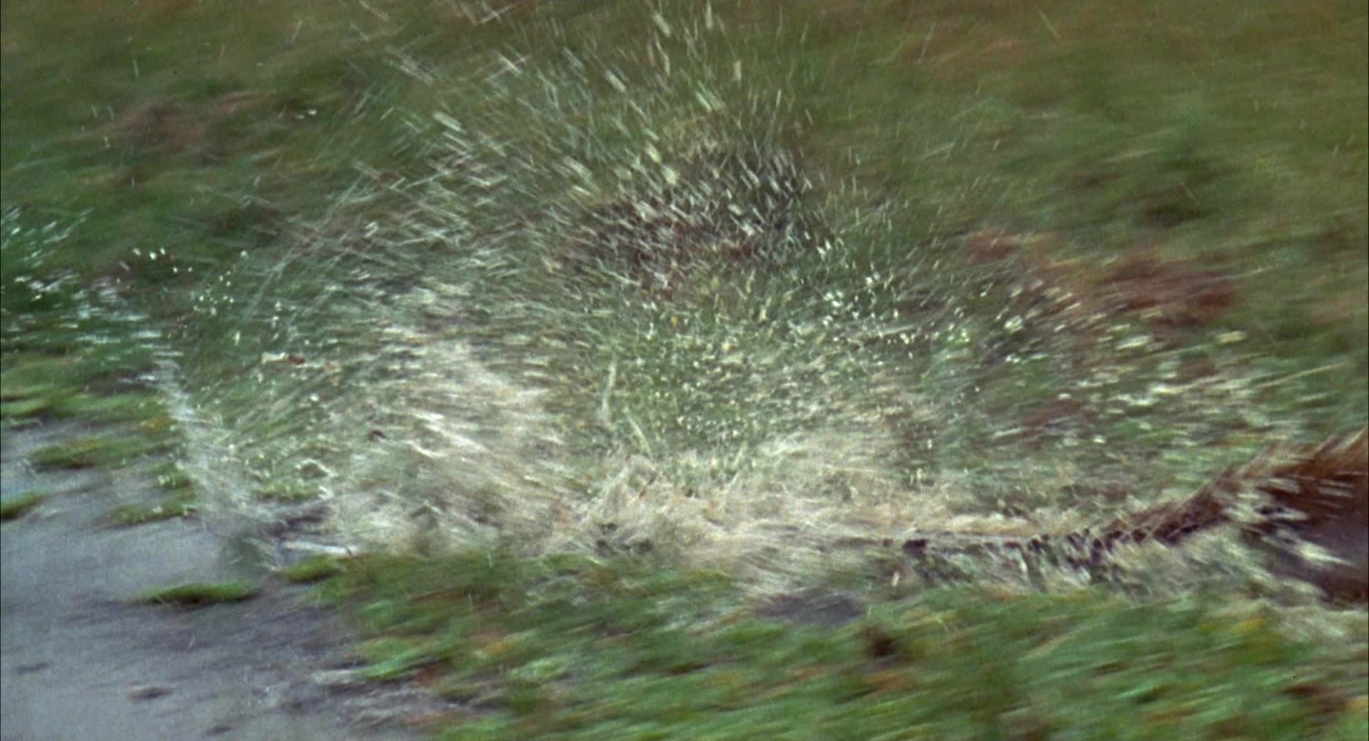 Happy Gilmore (1996), unknown, 1.85:1 — film still