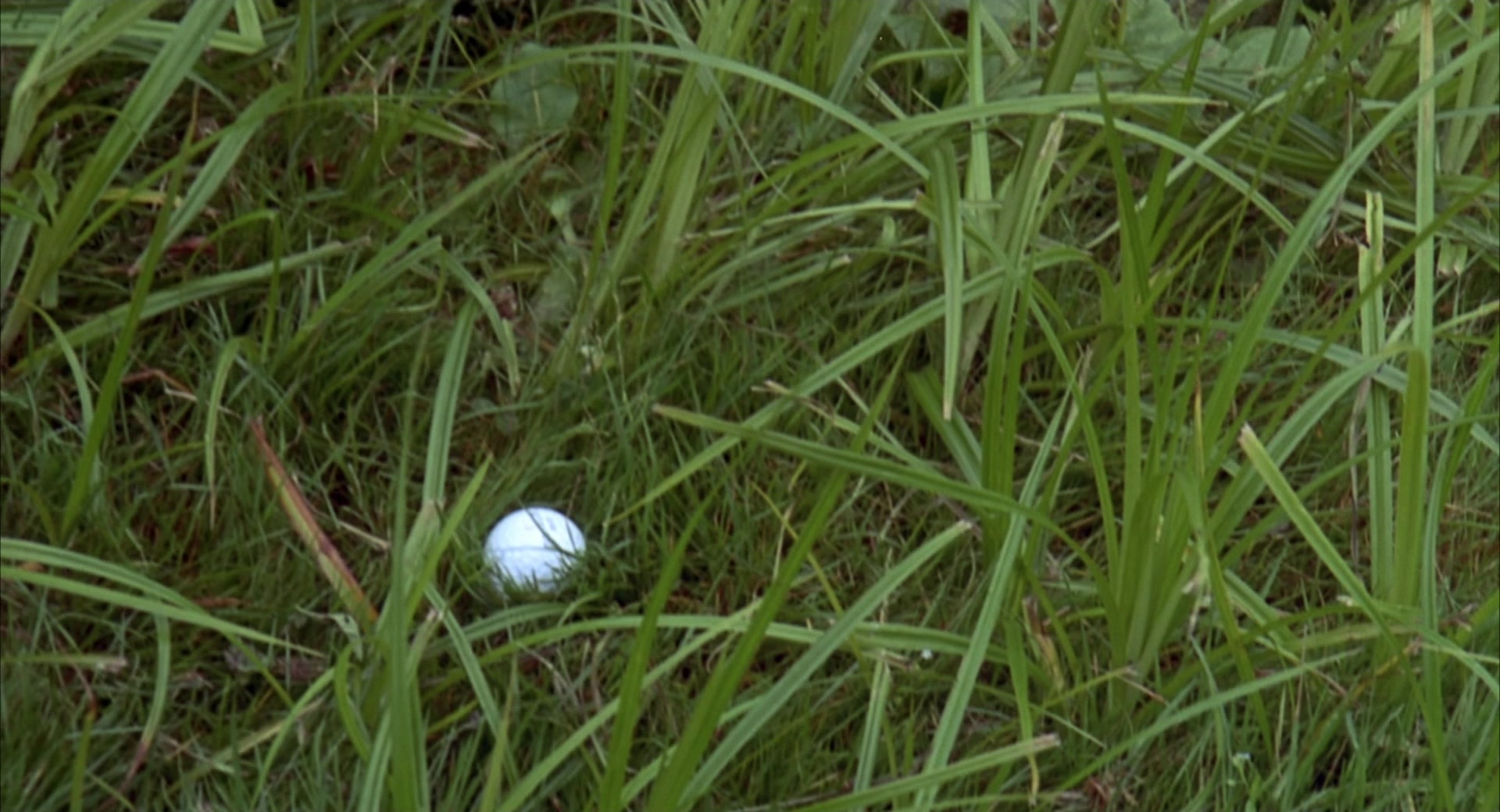 Happy Gilmore (1996), wide, 1.85:1 — film still