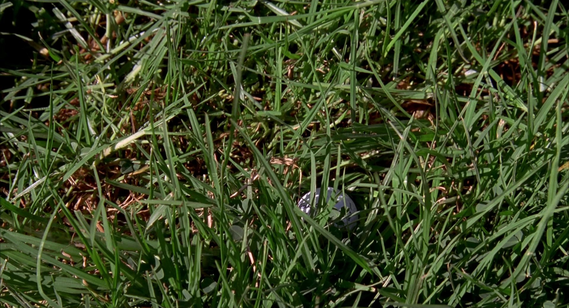 Happy Gilmore (1996), unknown, 1.85:1 — film still