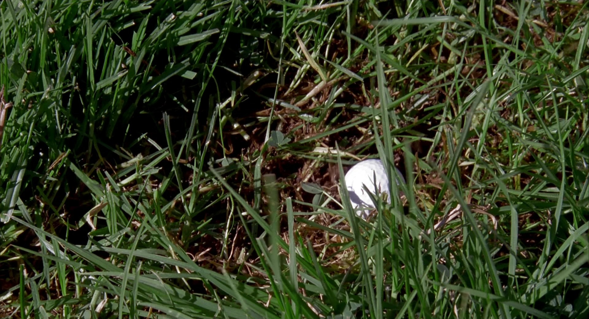 Happy Gilmore (1996), wide, 1.85:1 — film still