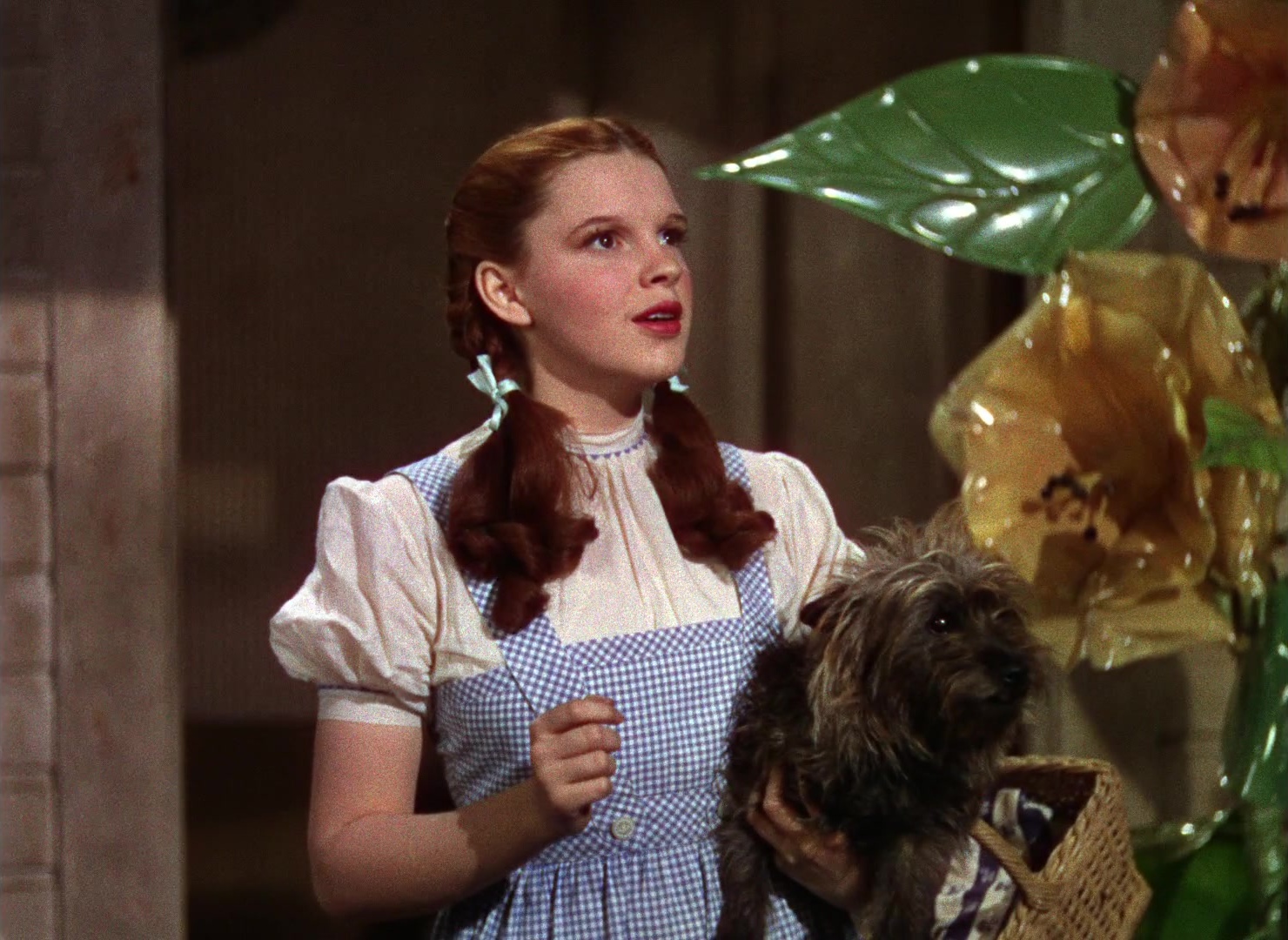 The Wizard of Oz (1939), wide, 1.37:1 — film still