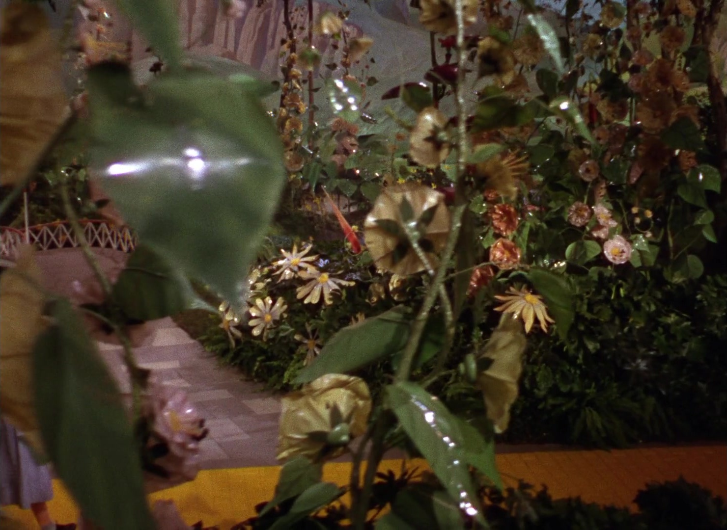 The Wizard of Oz (1939), wide, 1.37:1 — film still