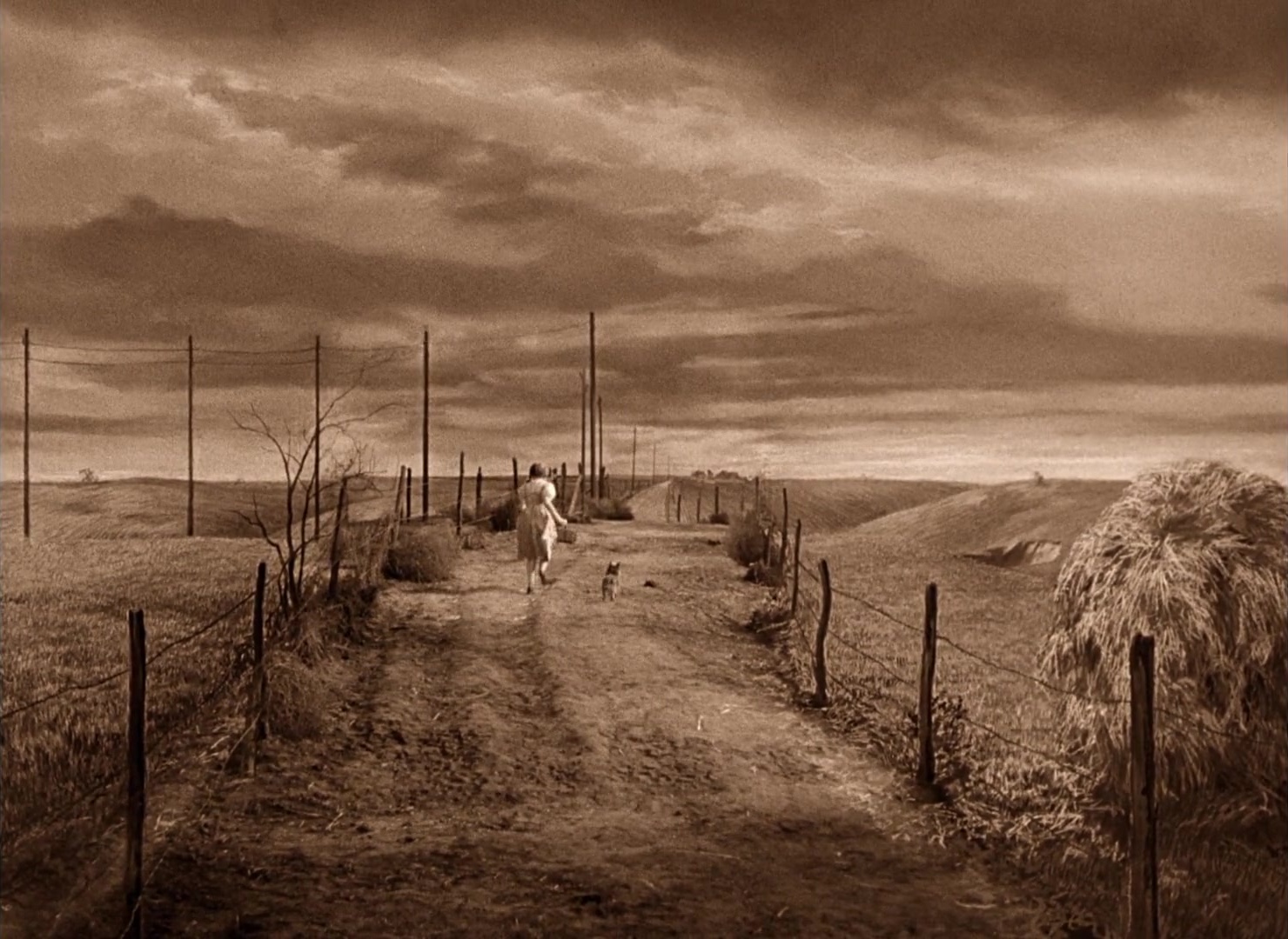 The Wizard of Oz (1939), unknown, 1.37:1 — film still