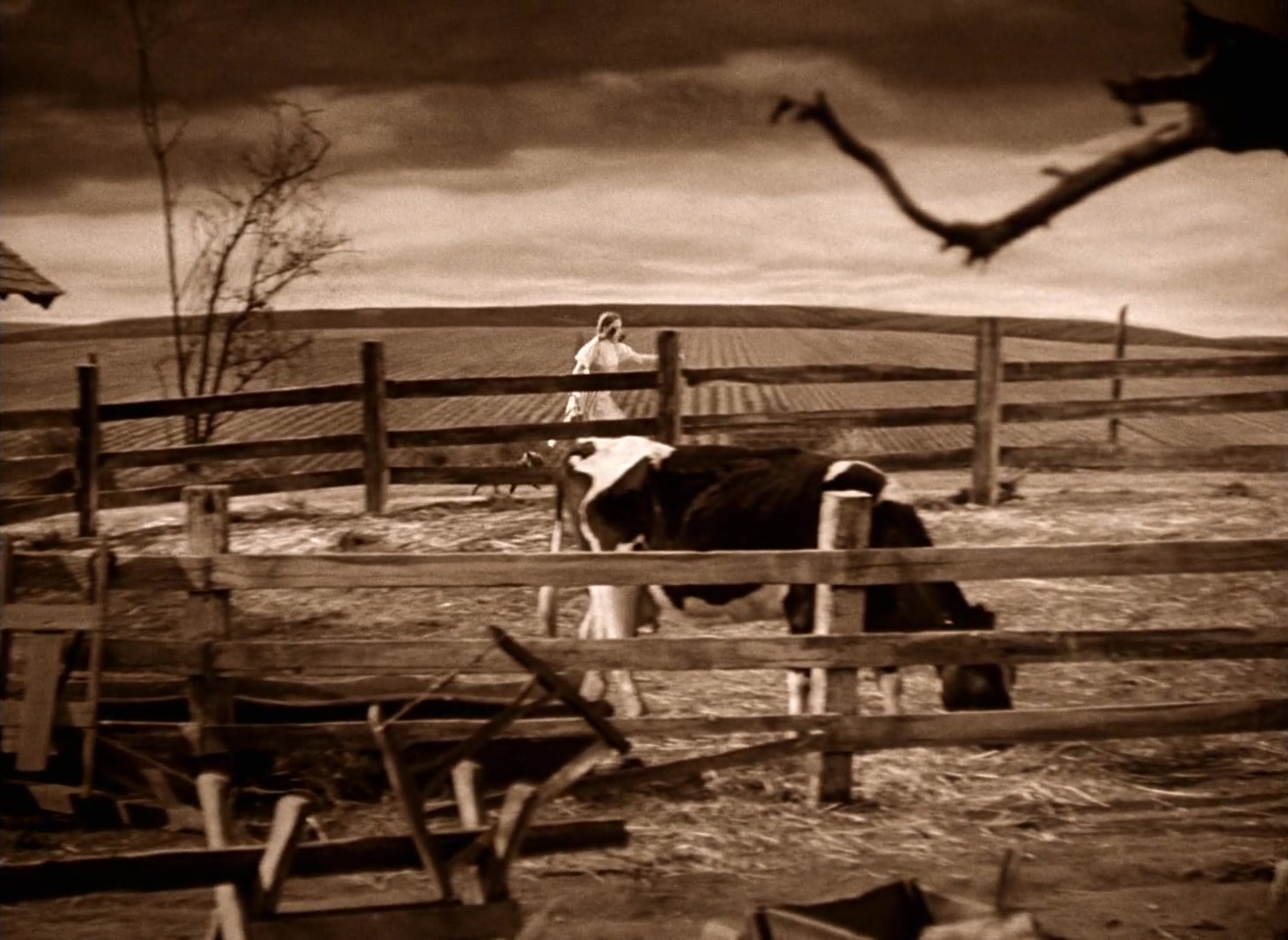 The Wizard of Oz (1939), wide, 1.37:1 — film still