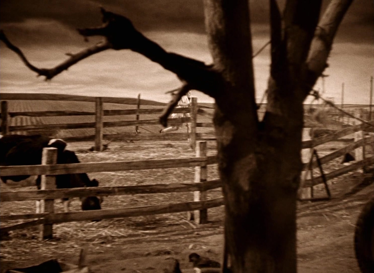 The Wizard of Oz (1939), wide, 1.37:1 — film still