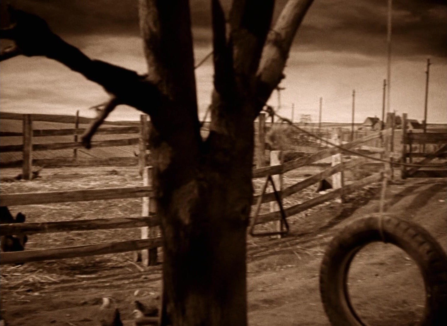 The Wizard of Oz (1939), wide, 1.37:1 — film still