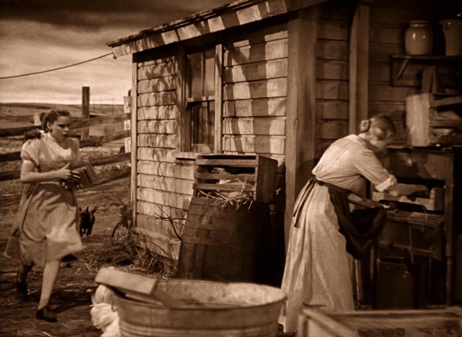 The Wizard of Oz (1939), wide, 1.37:1 — film still