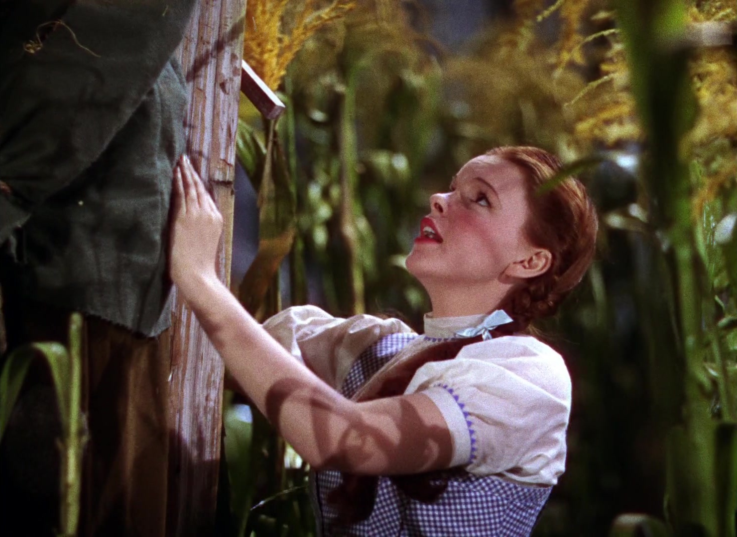 The Wizard of Oz (1939), wide, 1.37:1 — film still