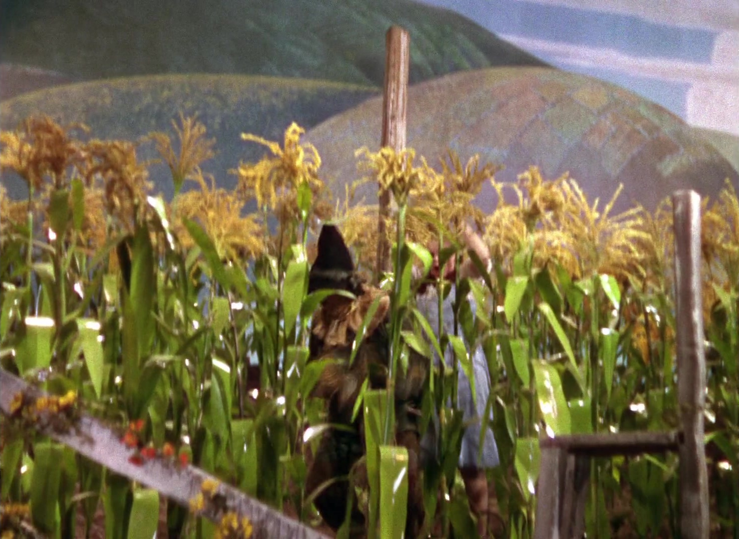 The Wizard of Oz (1939), wide, 1.37:1 — film still