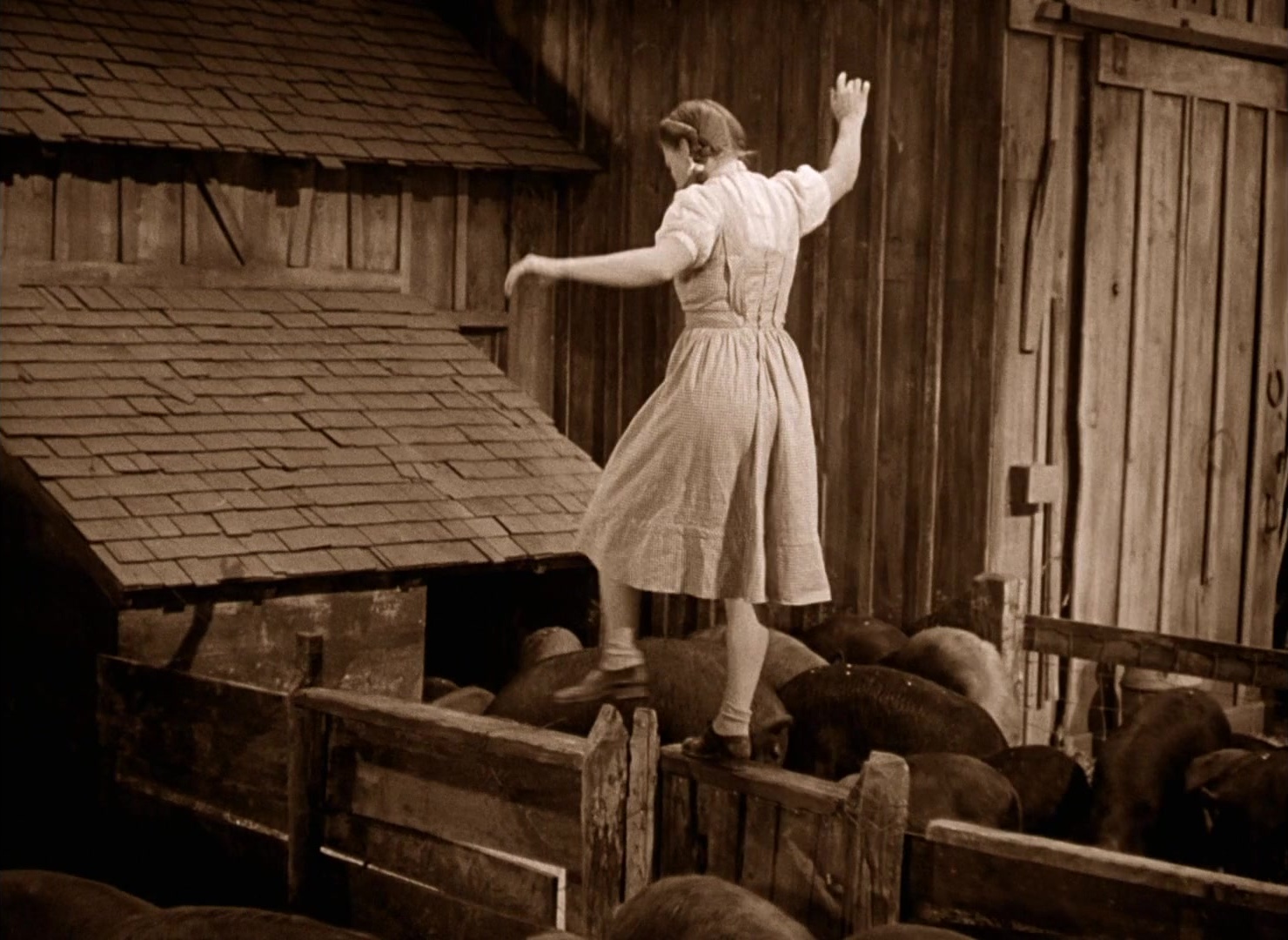 The Wizard of Oz (1939), wide, 1.37:1 — film still