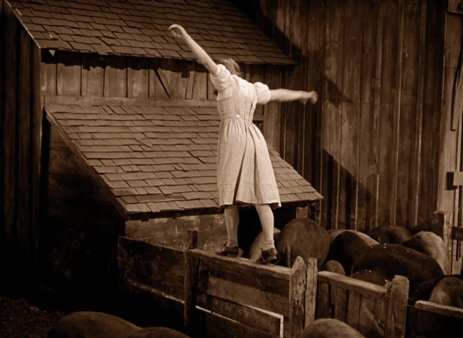 The Wizard of Oz (1939), wide, 1.37:1 — film still