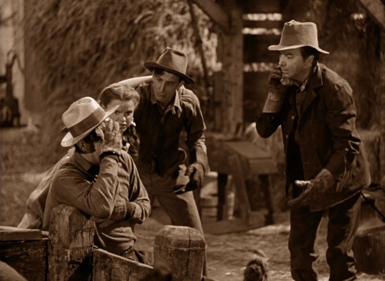 The Wizard of Oz (1939), wide, 1.37:1 — film still
