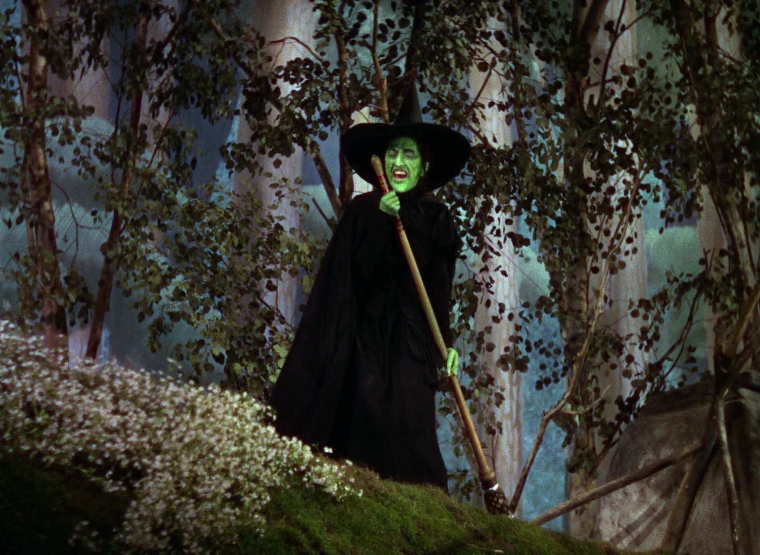 The Wizard of Oz (1939), wide, 1.37:1 — film still