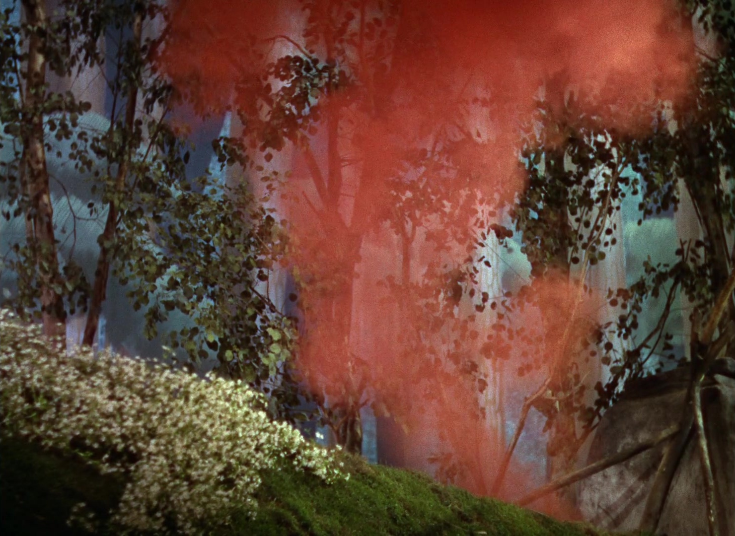 The Wizard of Oz (1939), wide, 1.37:1 — film still