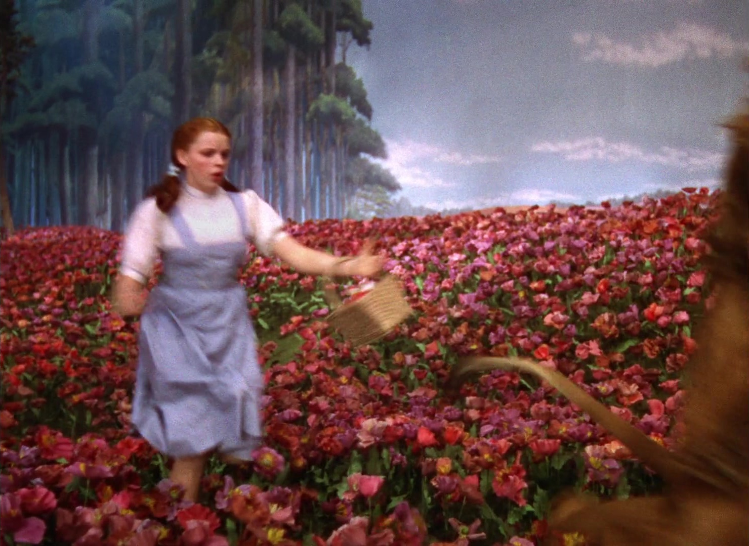 The Wizard of Oz (1939), wide, 1.37:1 — film still