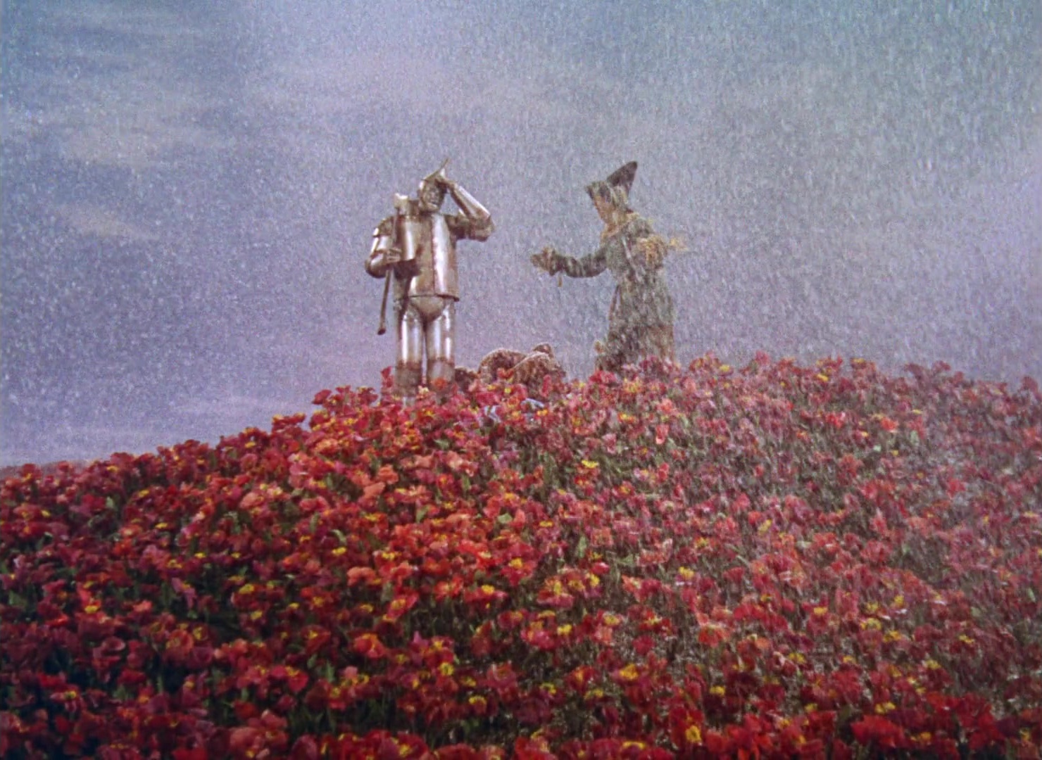 The Wizard of Oz (1939), unknown, 1.37:1 — film still