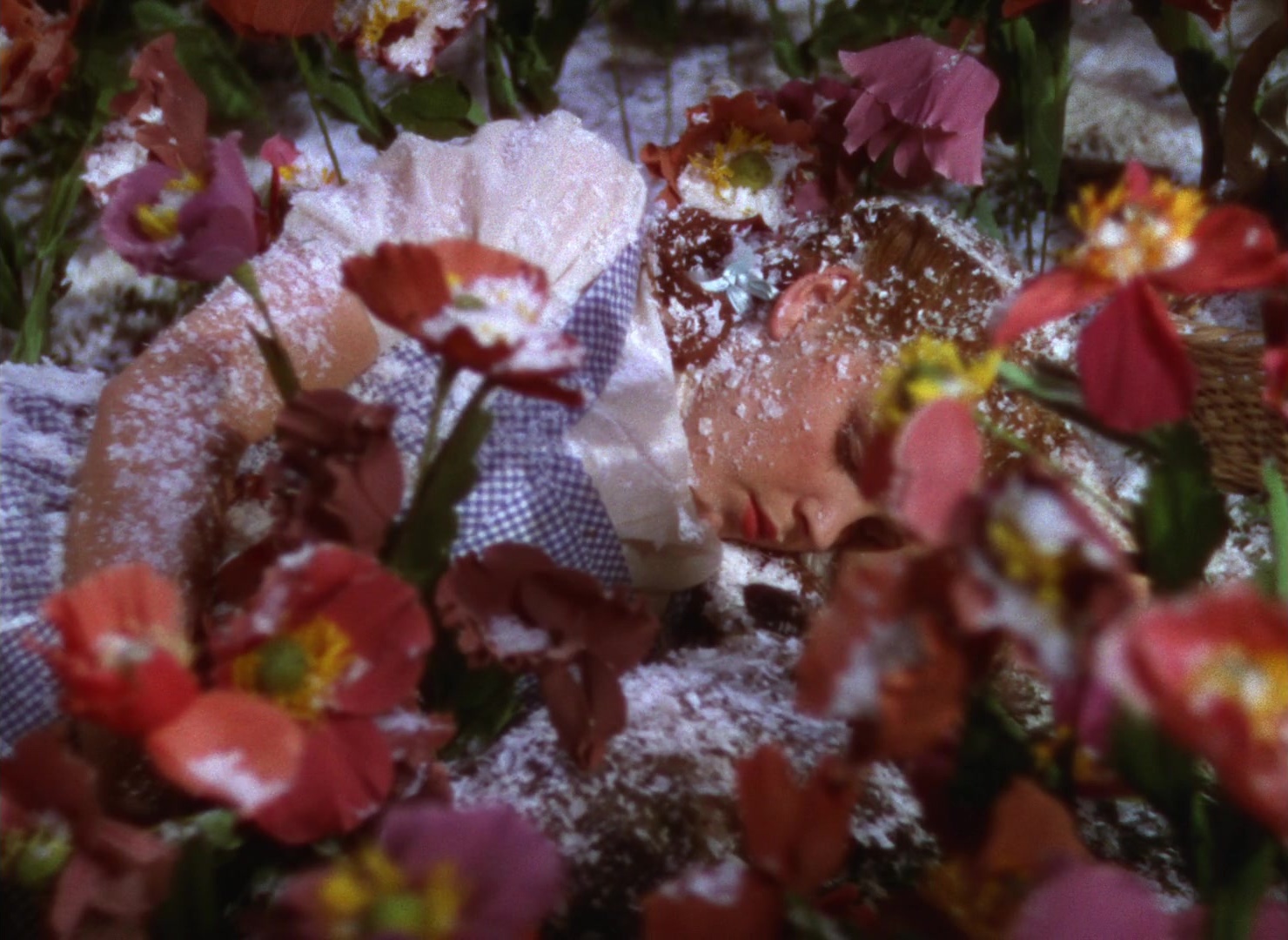 The Wizard of Oz (1939), wide, 1.37:1 — film still