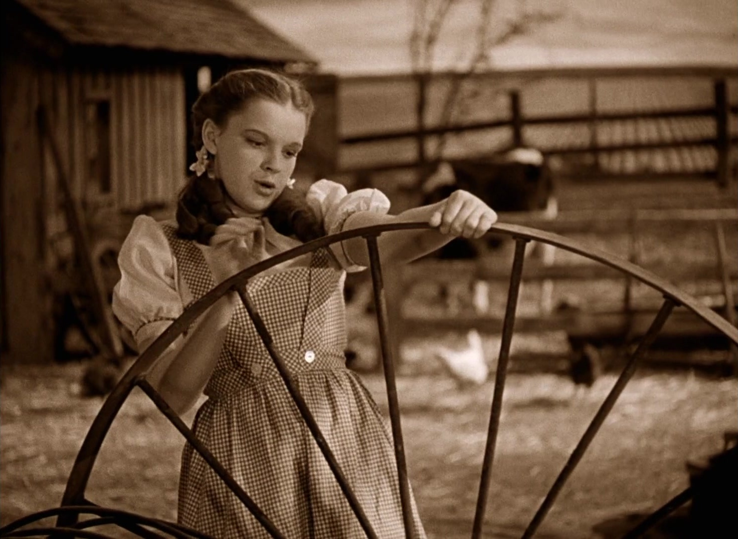 The Wizard of Oz (1939), wide, 1.37:1 — film still