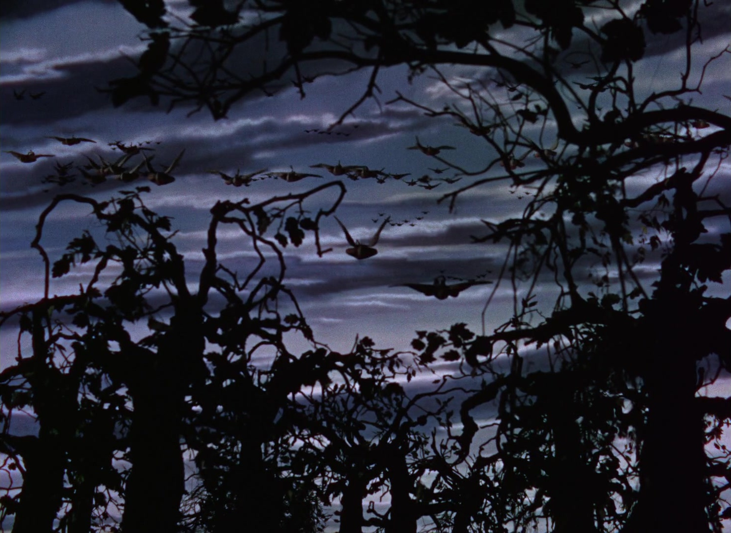 The Wizard of Oz (1939), wide, 1.37:1 — film still