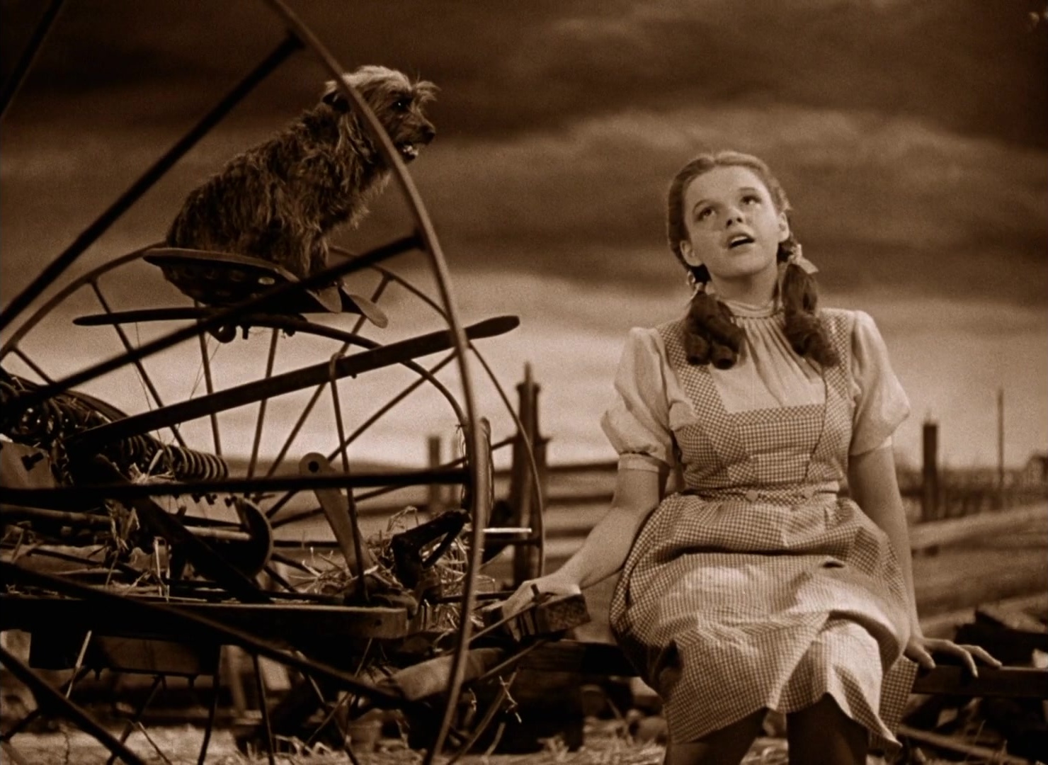 The Wizard of Oz (1939), wide, 1.37:1 — film still