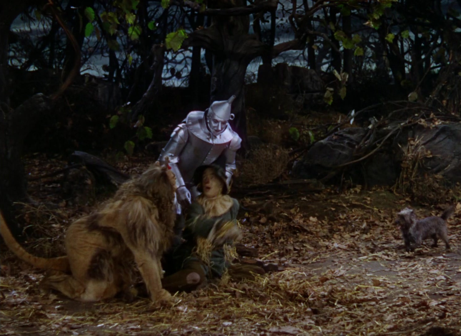 The Wizard of Oz (1939), wide, 1.37:1 — film still