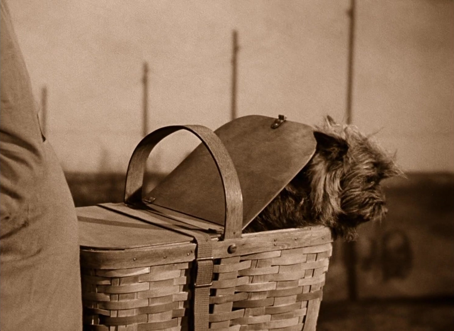 The Wizard of Oz (1939), wide, 1.37:1 — film still