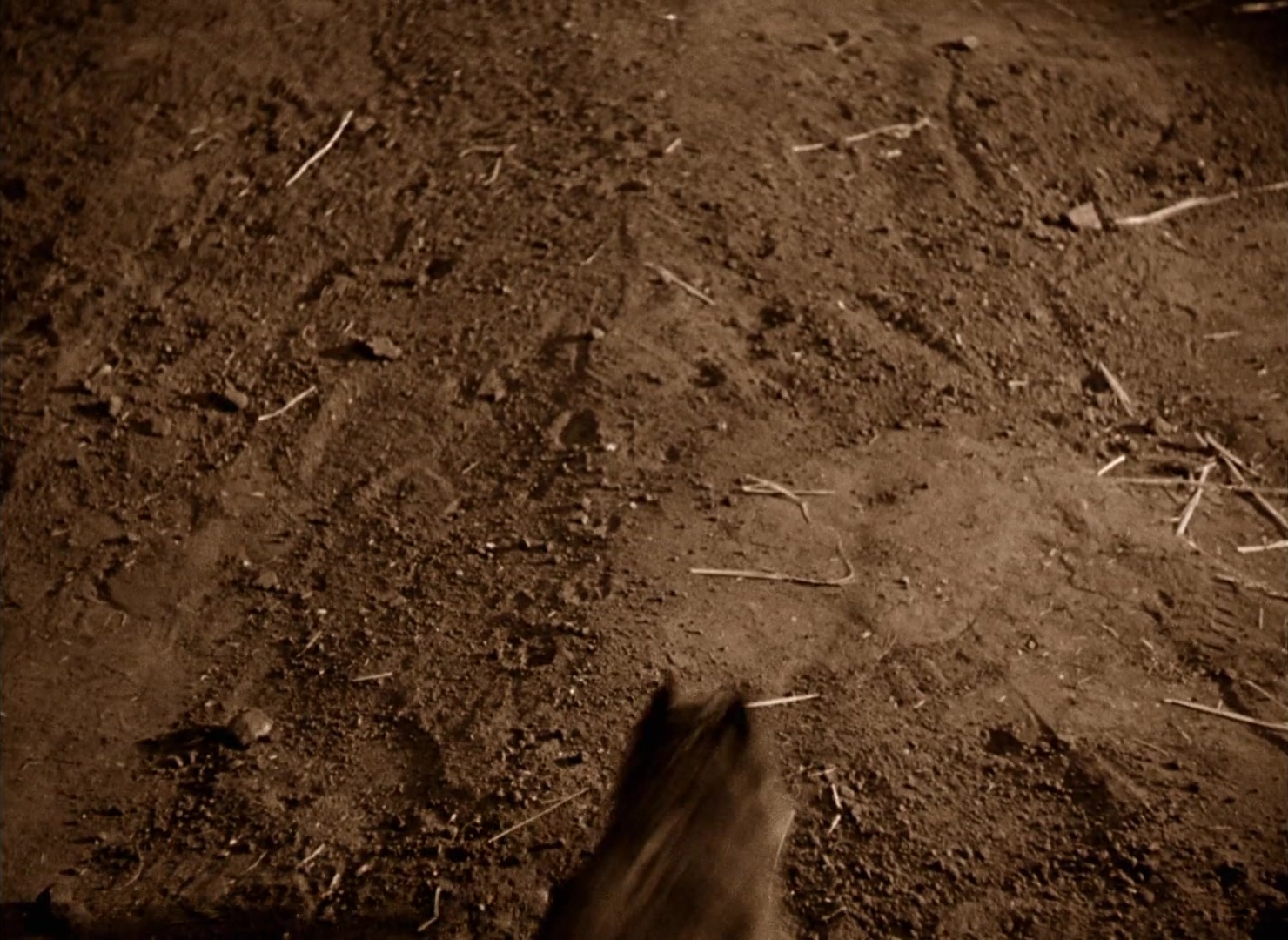 The Wizard of Oz (1939), wide, 1.37:1 — film still