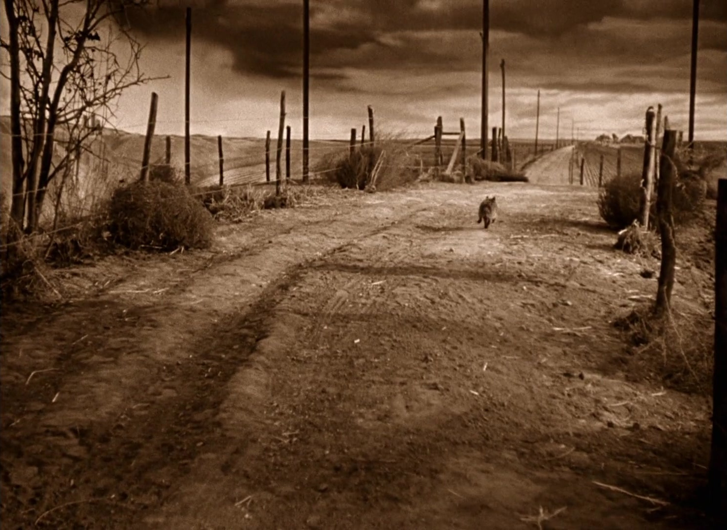 The Wizard of Oz (1939), wide, 1.37:1 — film still