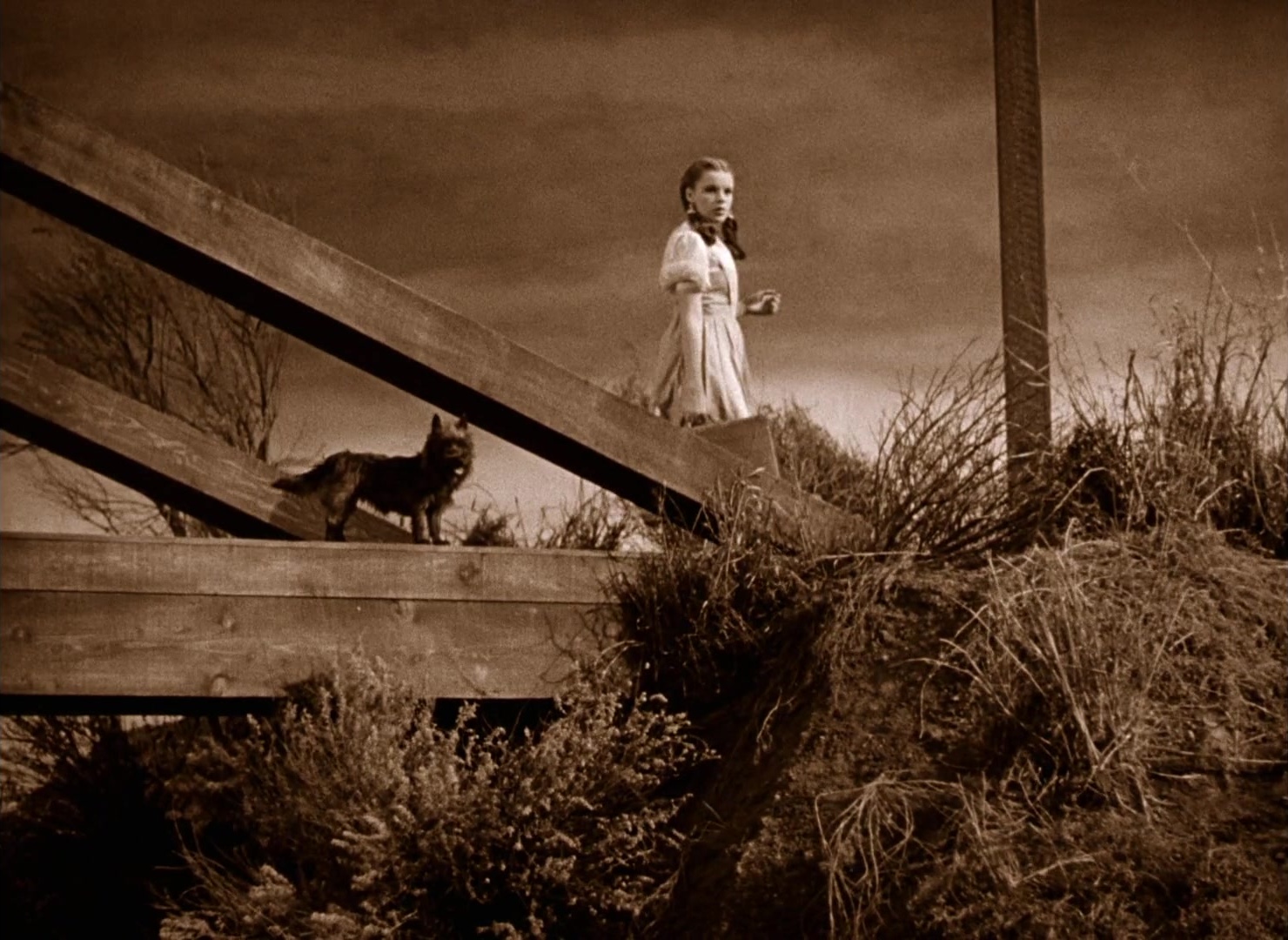 The Wizard of Oz (1939), wide, 1.37:1 — film still