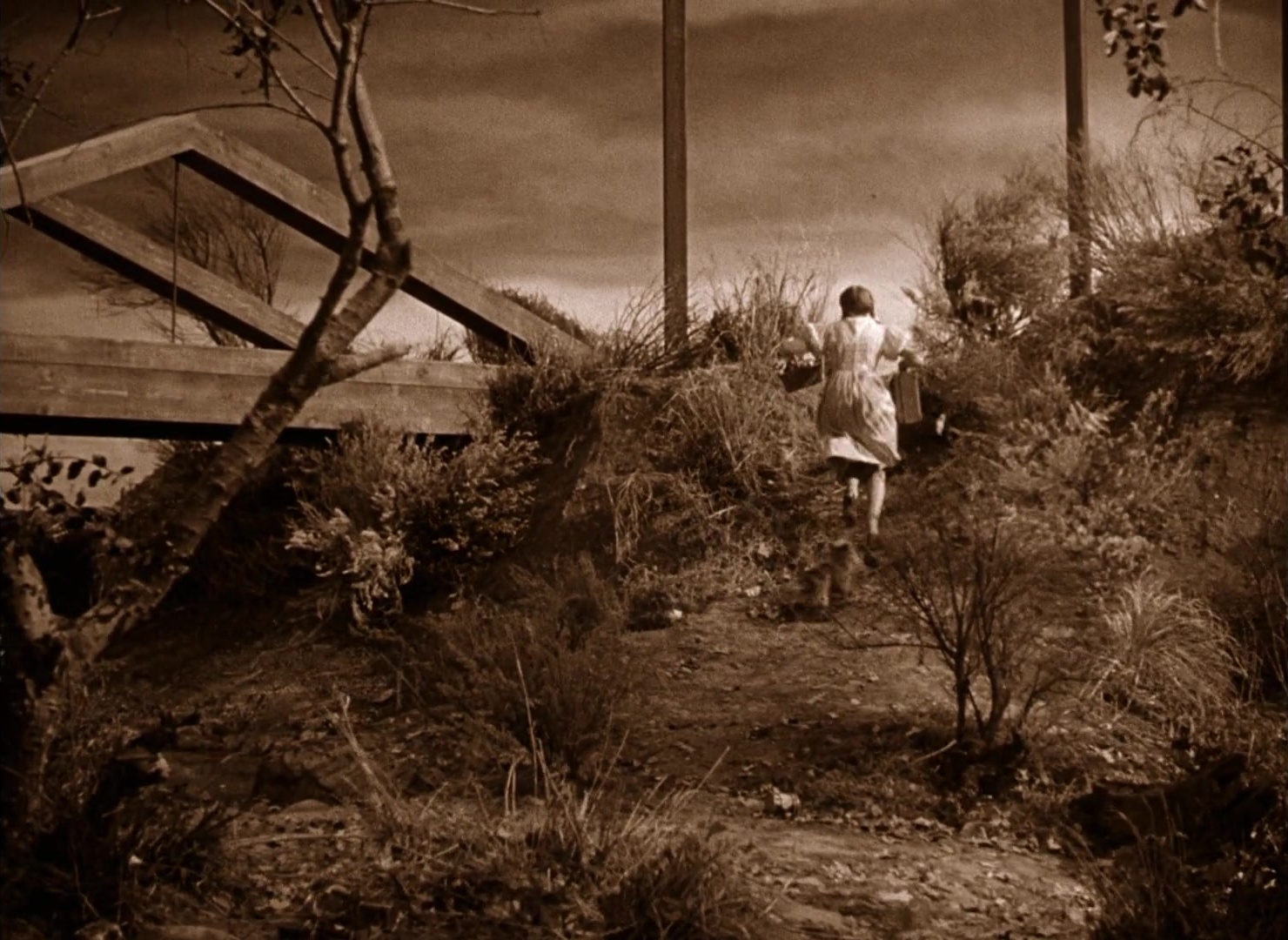 The Wizard of Oz (1939), unknown, 1.37:1 — film still