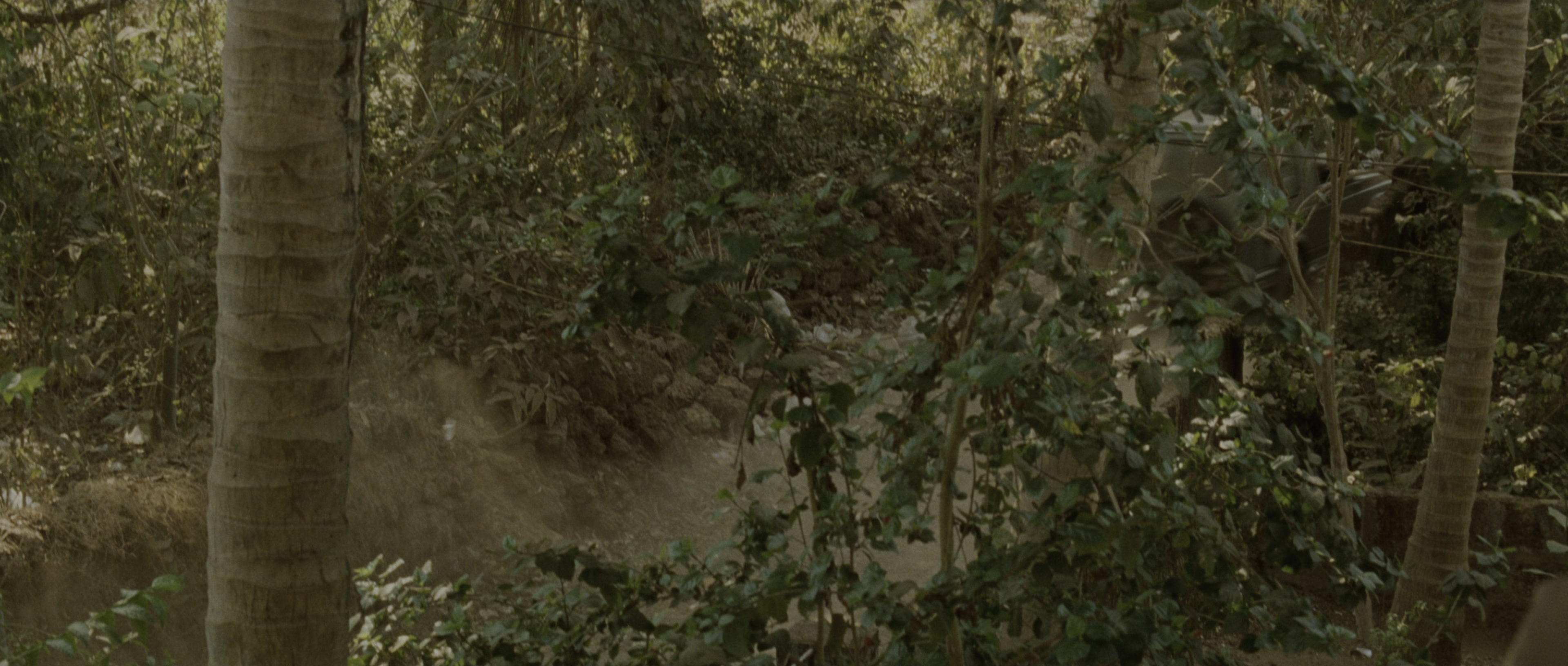 The Bourne Supremacy (2004), wide, 2.35:1 — film still