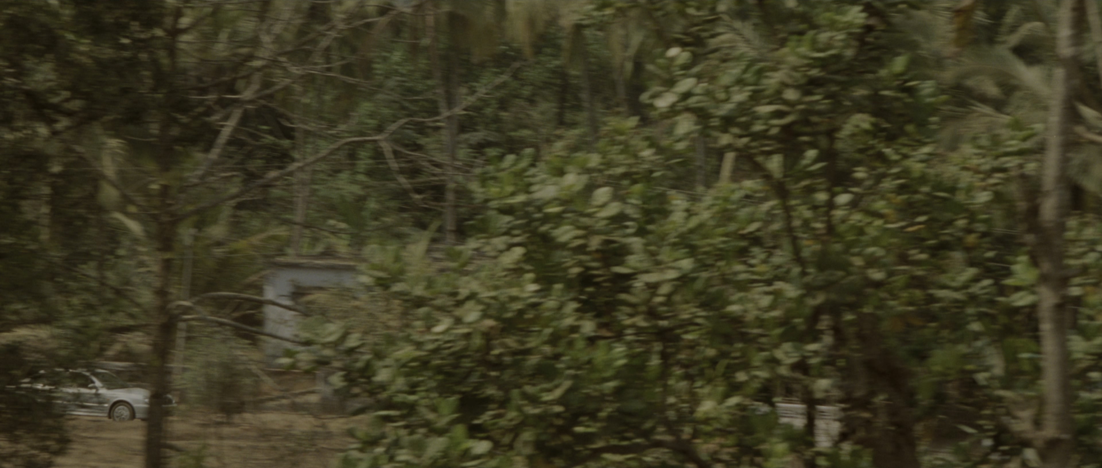 The Bourne Supremacy (2004), wide, 2.35:1 — film still