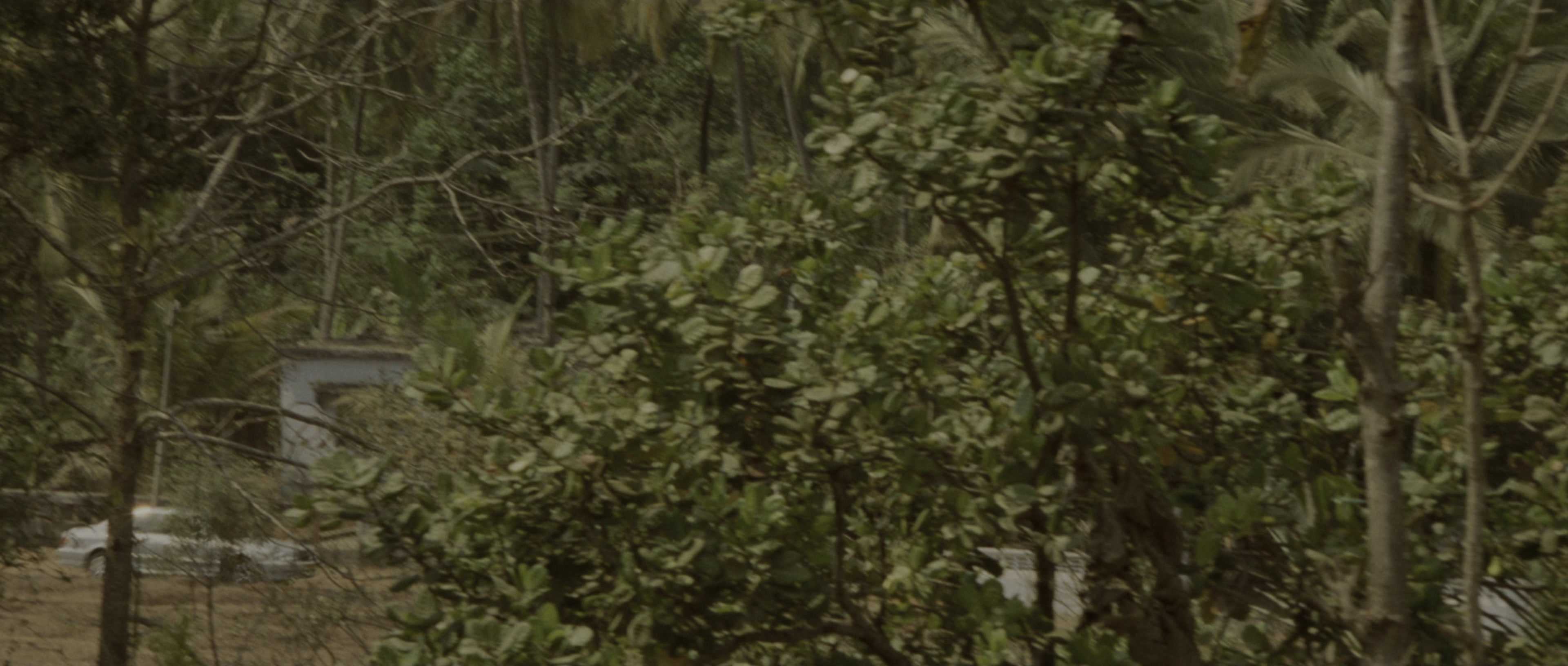 The Bourne Supremacy (2004), wide, 2.35:1 — film still