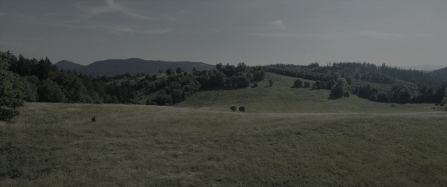 Wide shot frame from The Hunger Games: The Ballad of Songbirds & Snakes — walking, person