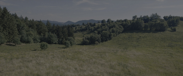 Wide shot frame from The Hunger Games: The Ballad of Songbirds & Snakes