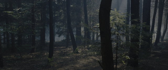 Medium shot frame from The Hunger Games: The Ballad of Songbirds & Snakes — forest