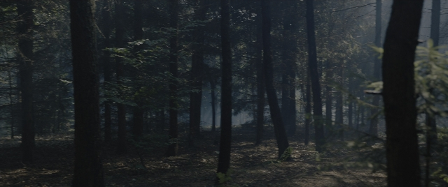 Wide shot frame from The Hunger Games: The Ballad of Songbirds & Snakes — forest
