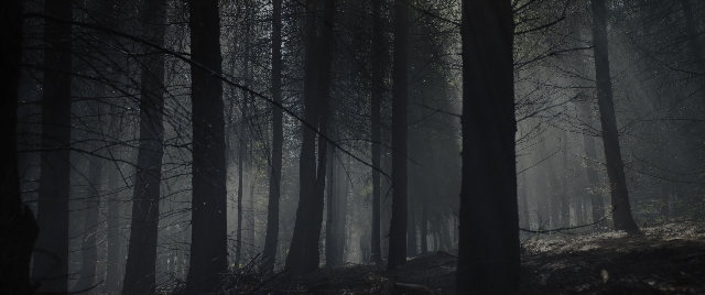 Wide shot frame from The Hunger Games: The Ballad of Songbirds & Snakes — forest