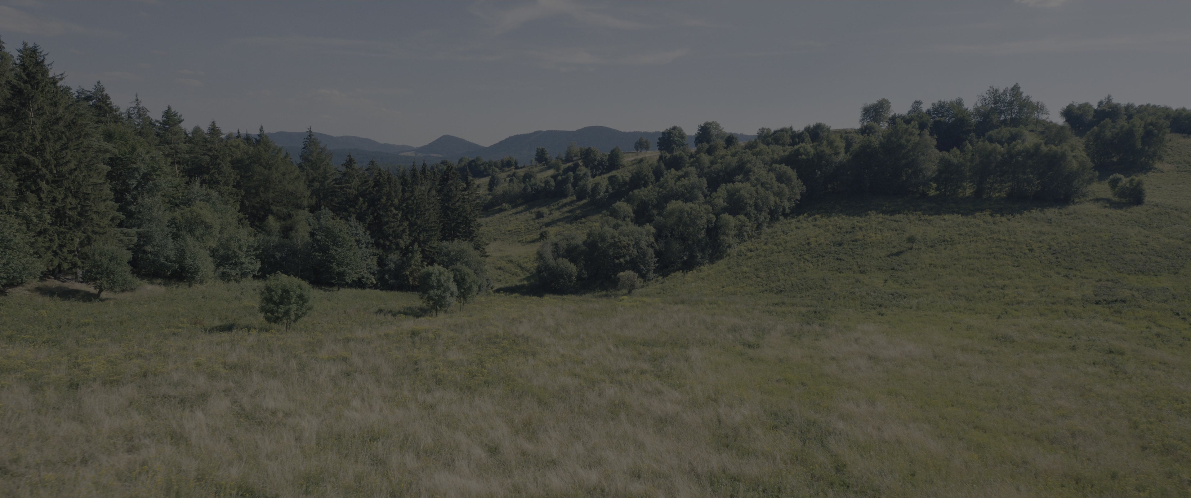 The Hunger Games: The Ballad of Songbirds & Snakes (2023), wide, 2.39:1 — film still