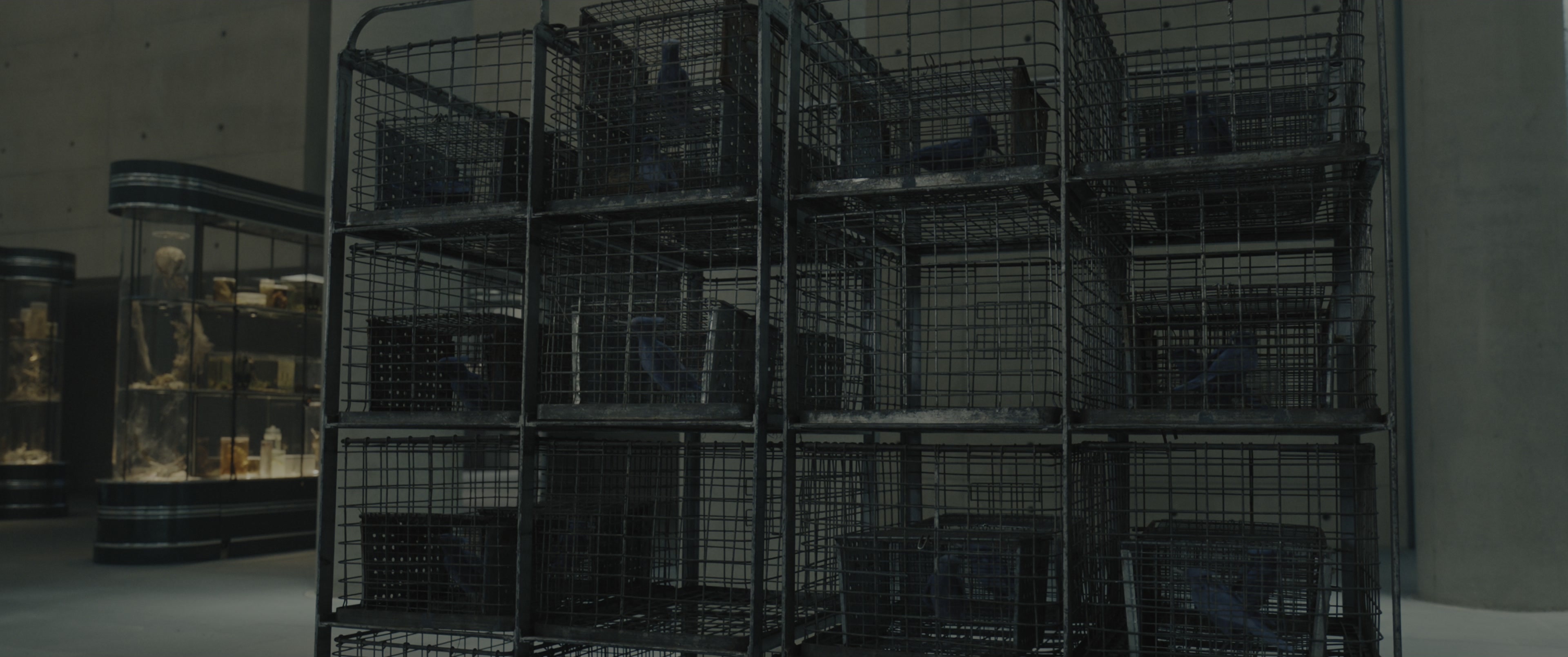 The Hunger Games: The Ballad of Songbirds & Snakes (2023), wide, 2.39:1 — film still