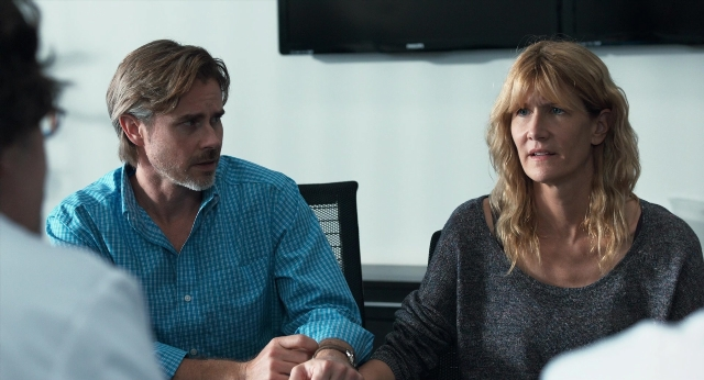seria-2485191.jpg