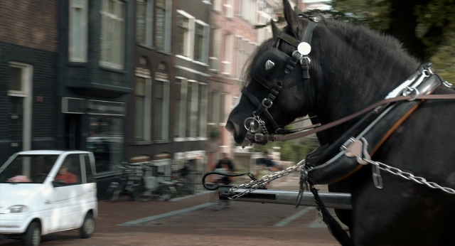 Wide shot frame from The Fault in Our Stars — street, horse, train
