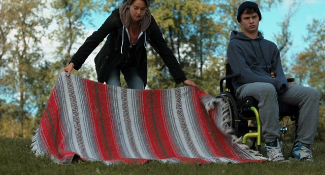 Wide shot frame from The Fault in Our Stars — standing, wheelchair, person