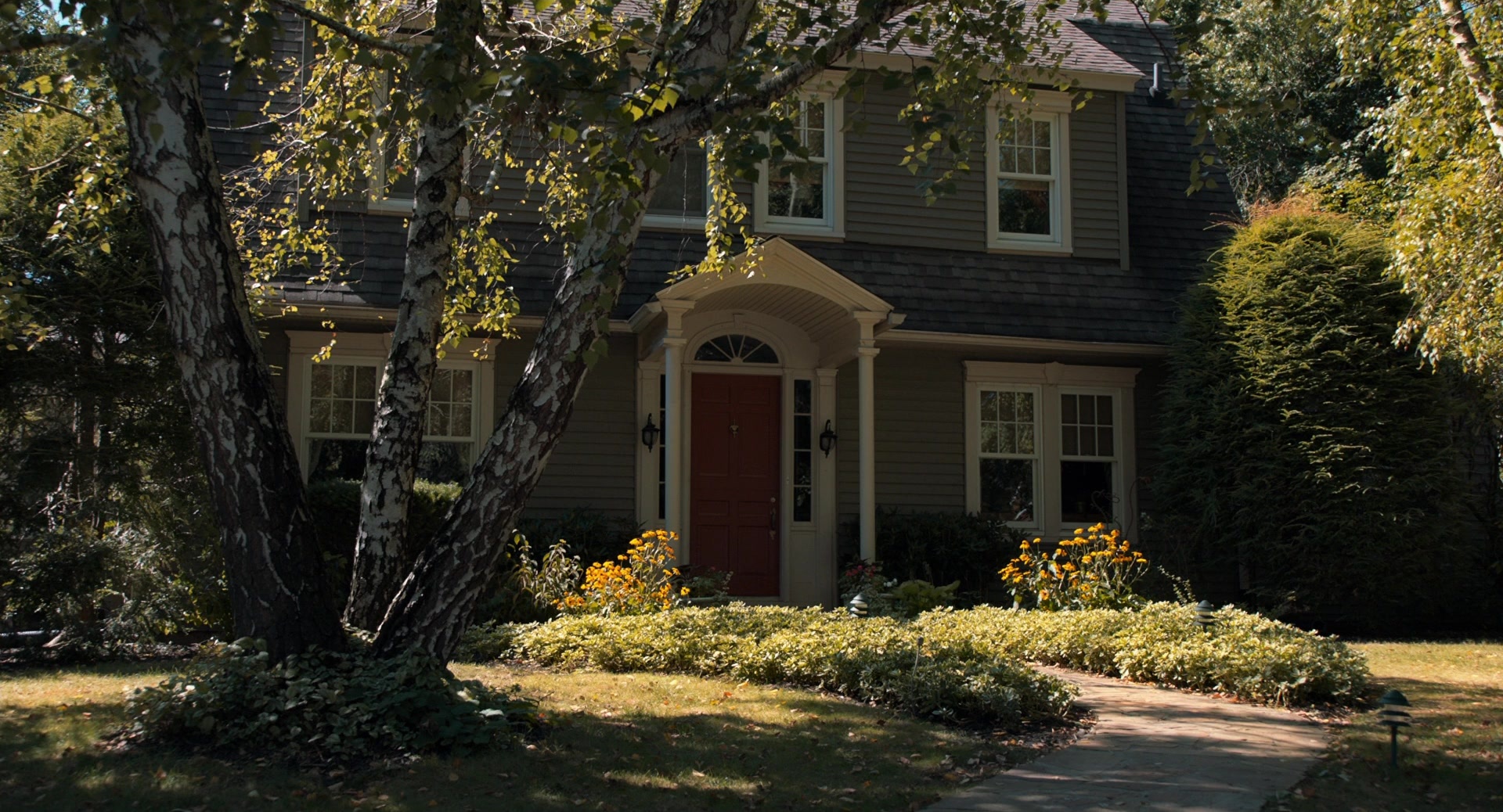 The Fault in Our Stars (2014), wide, 1.85:1 — film still