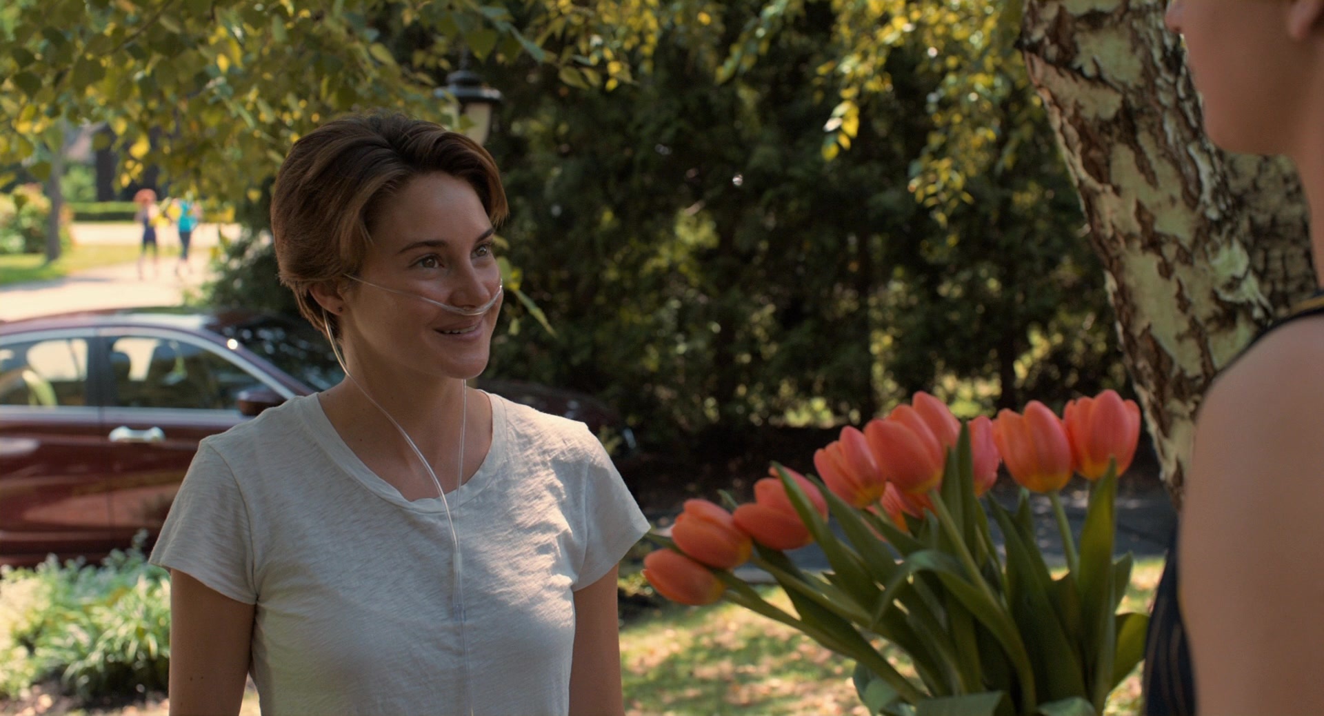 The Fault in Our Stars (2014), wide, 1.85:1 — film still