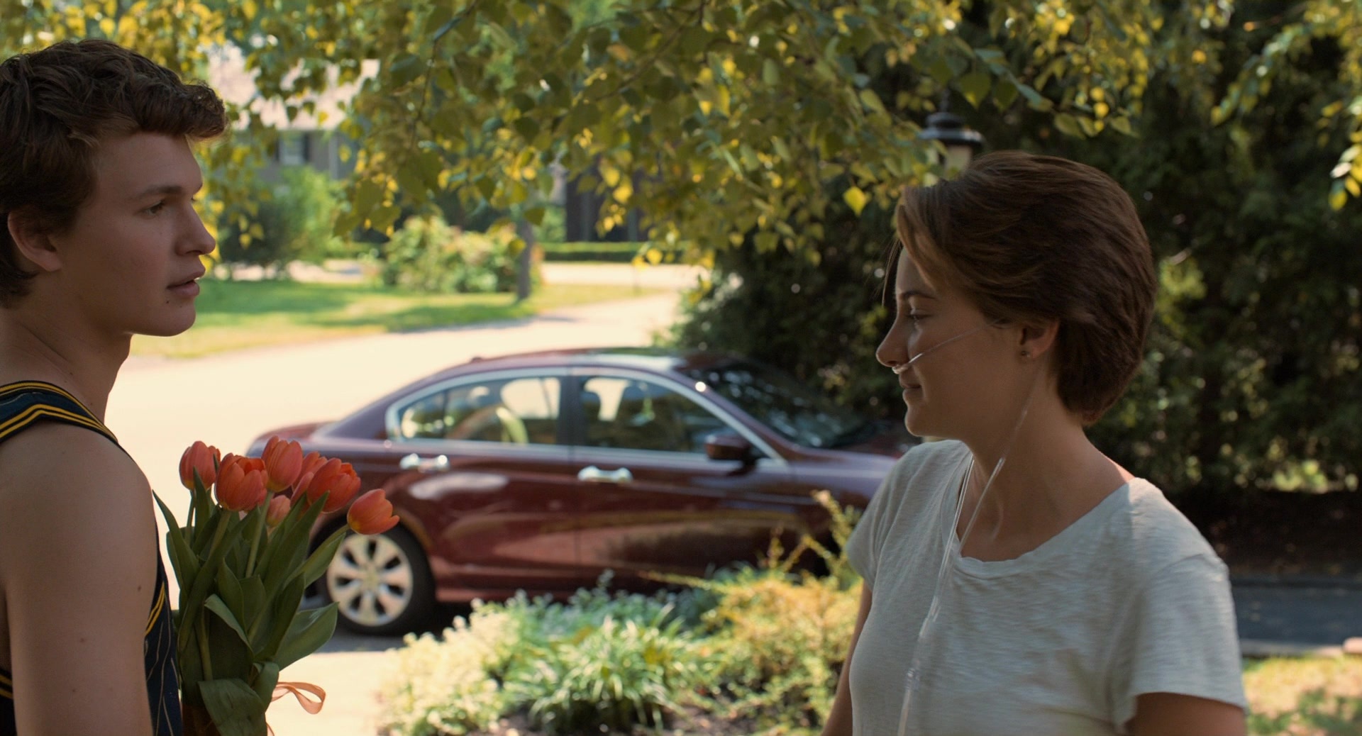 The Fault in Our Stars (2014), wide, 1.85:1 — film still