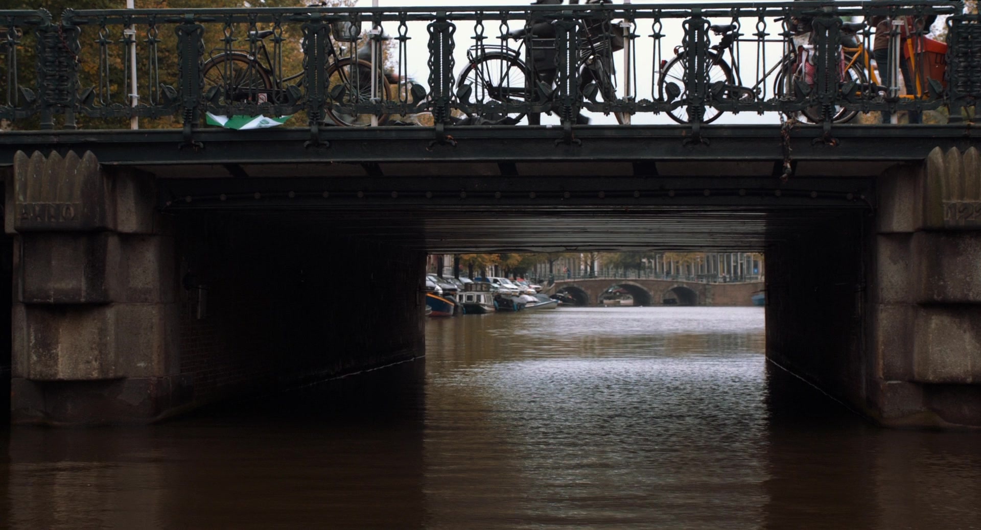 The Fault in Our Stars (2014), wide, 1.85:1 — film still