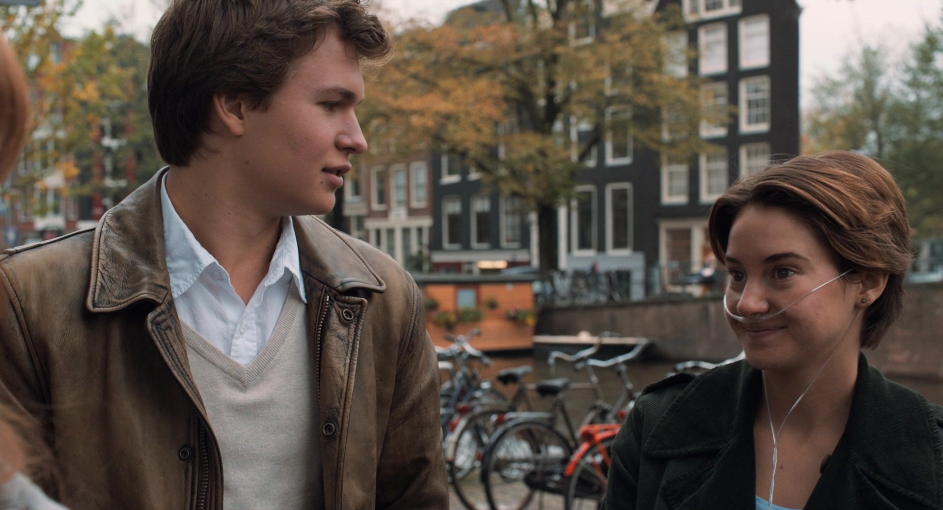 The Fault in Our Stars (2014), wide, 1.85:1 — film still